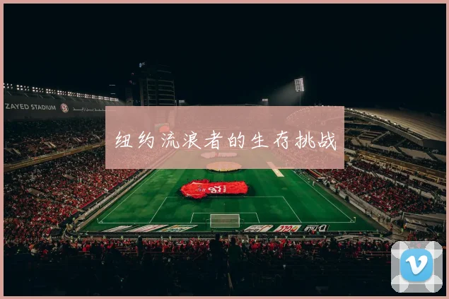 纽约流浪者的生存挑战