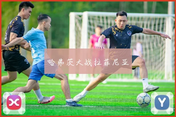 哈弗茨大战拉菲尼亚