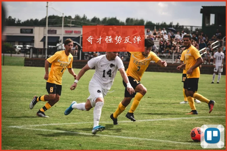 奇才强势反弹