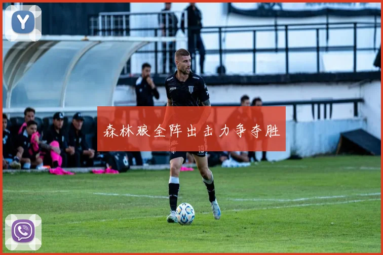 森林狼全阵出击力争夺胜
