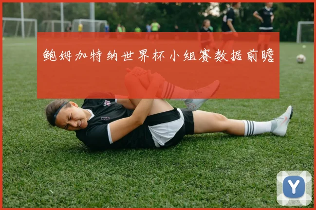 鲍姆加特纳世界杯小组赛数据前瞻