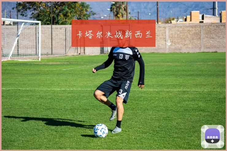 卡塔尔决战新西兰