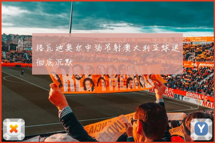 格瓦迪奥尔中场吊射澳大利亚球迷彻底沉默