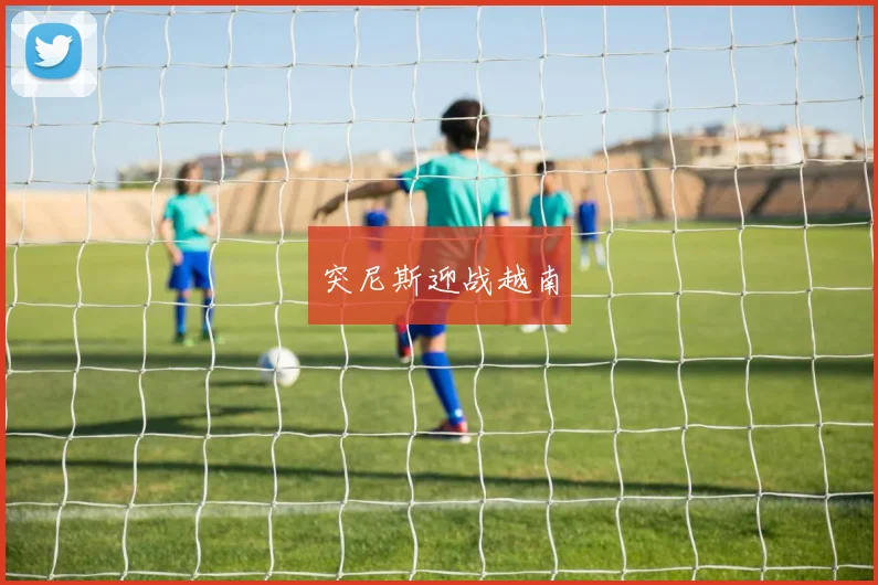 突尼斯迎战越南