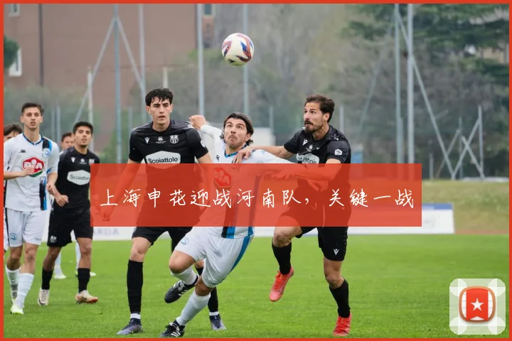上海申花迎战河南队，关键一战