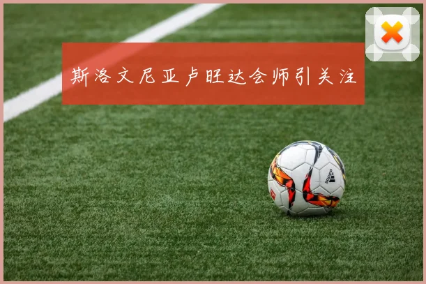 斯洛文尼亚卢旺达会师引关注