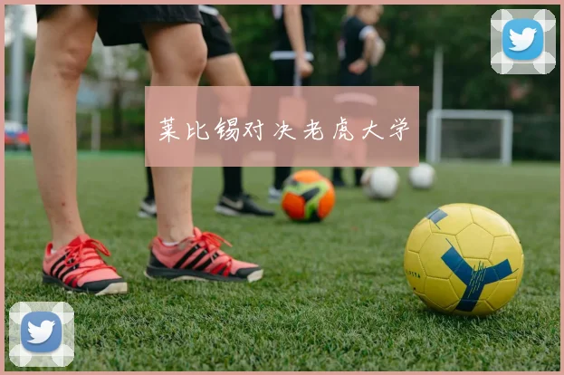莱比锡对决老虎大学