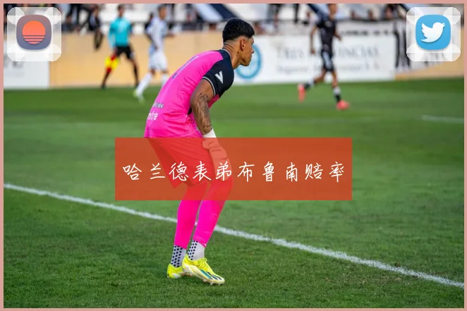 哈兰德表弟布鲁南赔率
