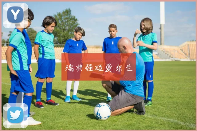 瑞典强碰爱尔兰