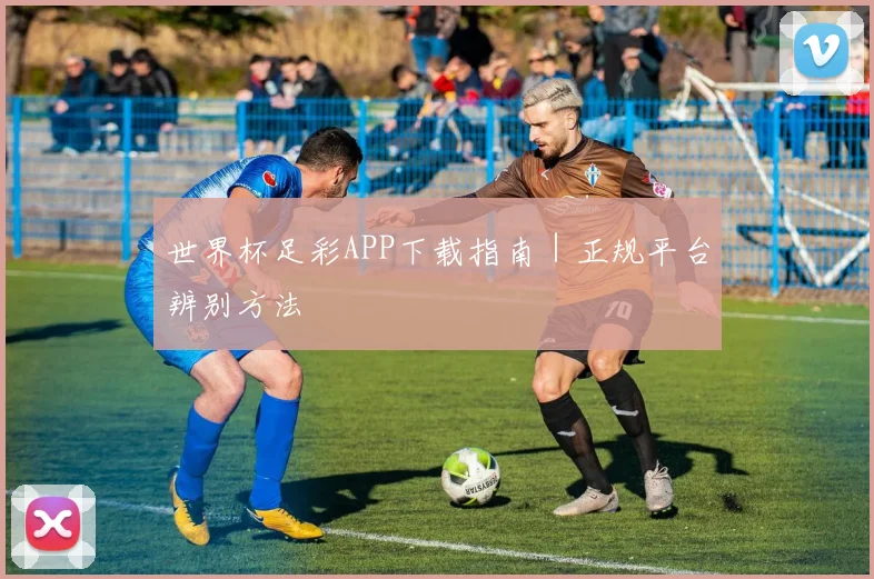 世界杯足彩APP下载指南｜正规平台辨别方法