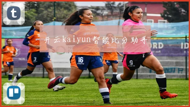 开云kaiyun智能比分助手