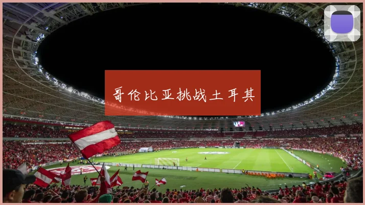 哥伦比亚挑战土耳其