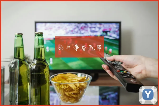公牛争夺冠军