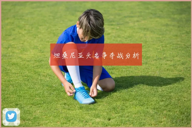 坦桑尼亚头名争夺战分析