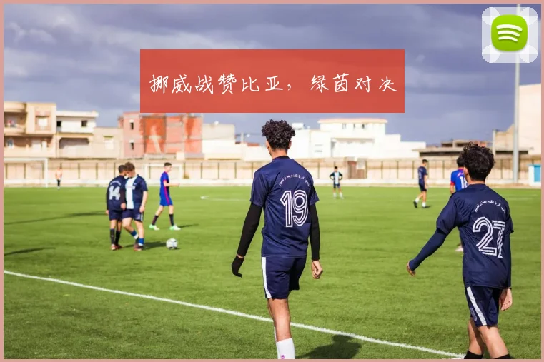 挪威战赞比亚，绿茵对决