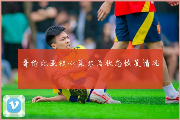 哥伦比亚核心莱尔马状态恢复情况