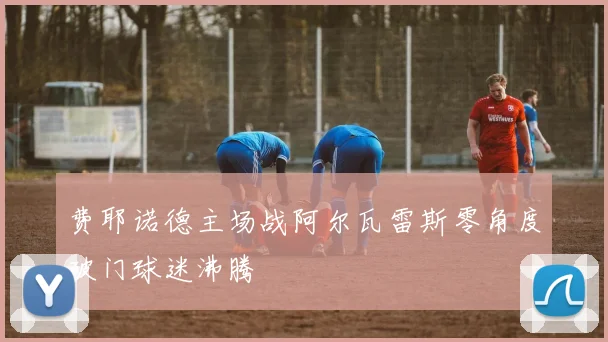 费耶诺德主场战阿尔瓦雷斯零角度破门球迷沸腾