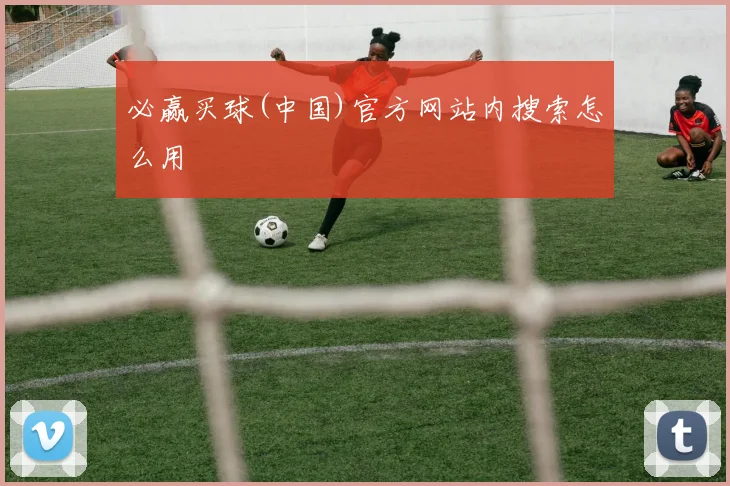必赢买球(中国)官方网站内搜索怎么用