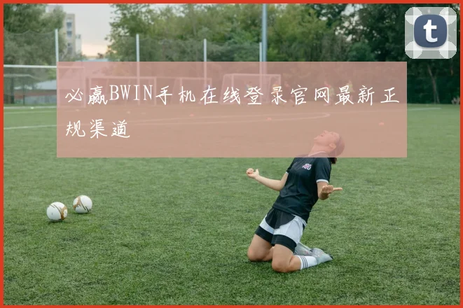 必赢BWIN手机在线登录官网最新正规渠道