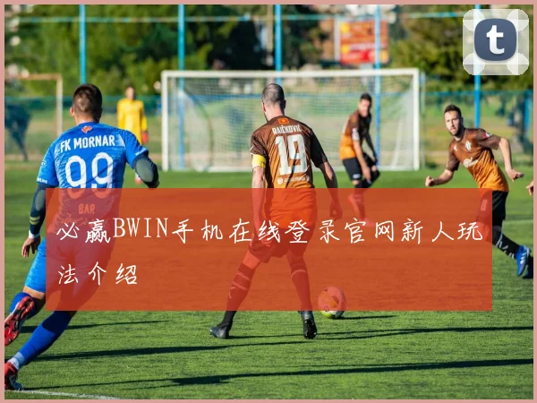 必赢BWIN手机在线登录官网新人玩法介绍