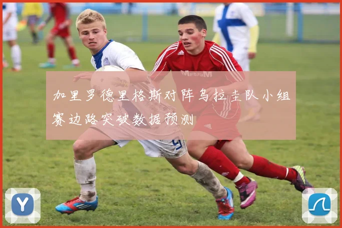 加里罗德里格斯对阵乌拉圭队小组赛边路突破数据预测